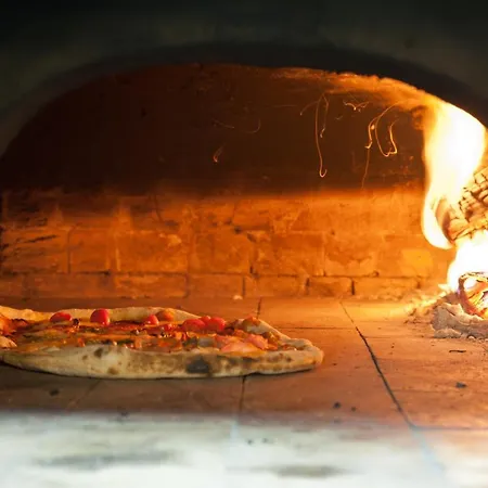 молерите комплекс 4*