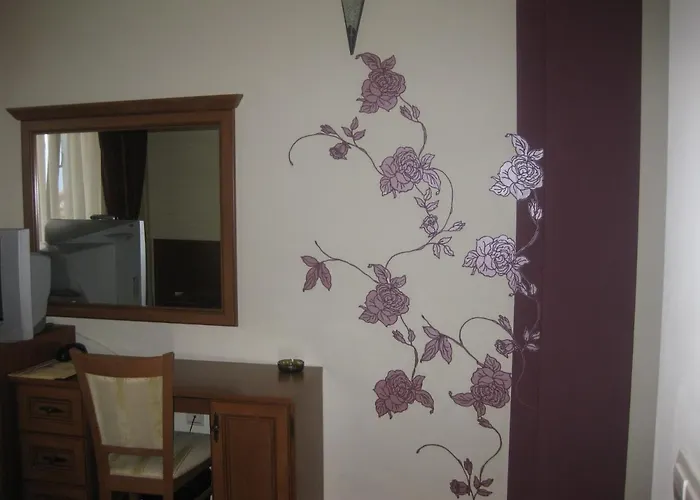 Molerite Complex 반스코